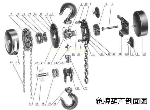 日本象牌手拉葫蘆剖面圖